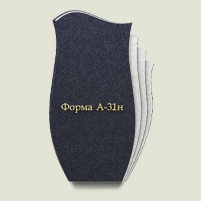 forma-a31н
